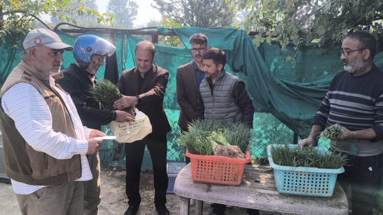 Agriculture Department Kashmir commences First Phase of Onion Seedling Sale at Kitchen Garden Lal Mandi