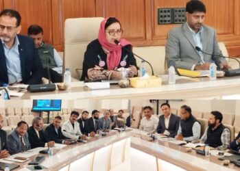 Sakeena Itoo discusses key issues of school education sector with members of Civil Society,  representatives of Private Schools Association and Parents Association